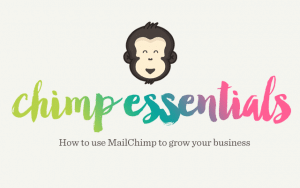 Paul Jarvis - Chimp Essentials Course – Use MailChimp To Grow Your Business Sales Page
