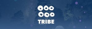 Stu Mclaren - Tribe - Membership Site Course Sales Page